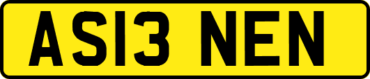 AS13NEN