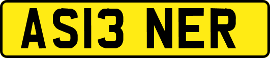 AS13NER