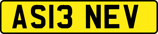AS13NEV