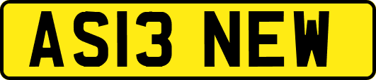 AS13NEW
