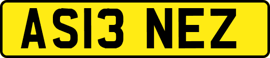 AS13NEZ