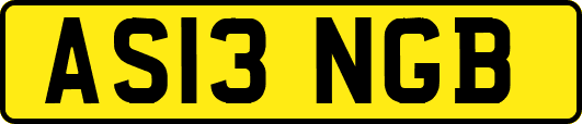 AS13NGB