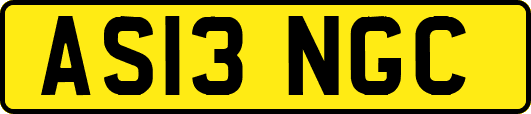 AS13NGC