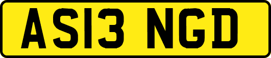 AS13NGD