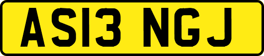 AS13NGJ