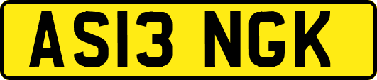 AS13NGK