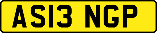 AS13NGP