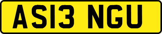 AS13NGU