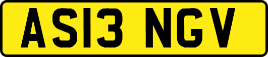 AS13NGV