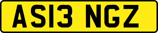 AS13NGZ