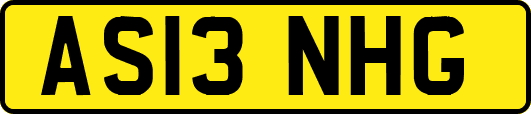 AS13NHG