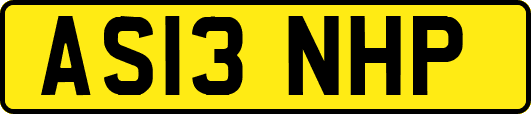 AS13NHP