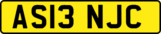 AS13NJC