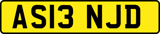 AS13NJD