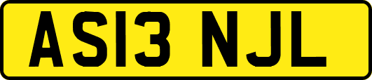 AS13NJL
