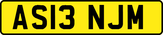 AS13NJM