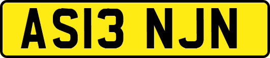 AS13NJN