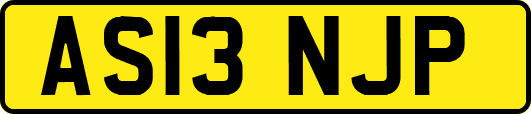 AS13NJP