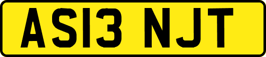 AS13NJT
