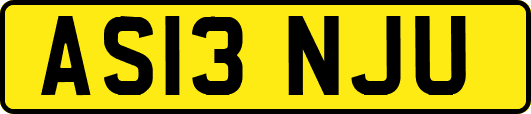 AS13NJU