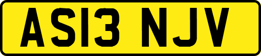 AS13NJV