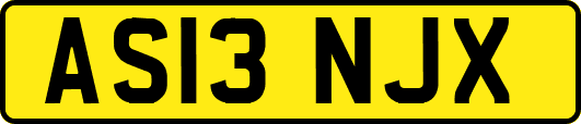 AS13NJX