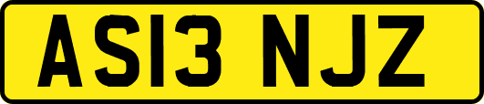 AS13NJZ