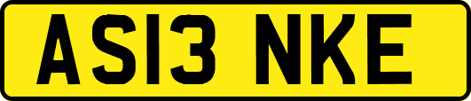 AS13NKE