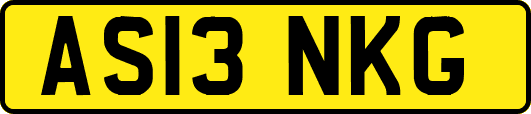 AS13NKG