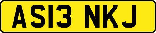 AS13NKJ
