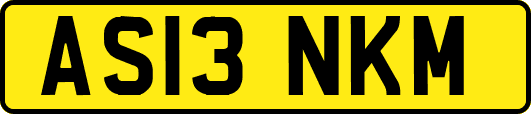 AS13NKM