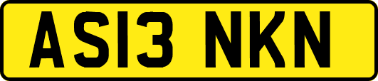 AS13NKN