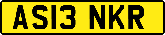 AS13NKR