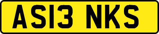 AS13NKS
