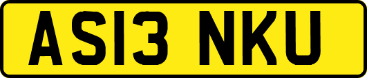 AS13NKU