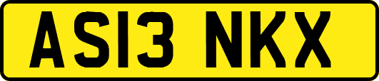 AS13NKX