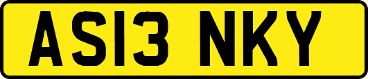 AS13NKY