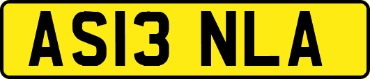 AS13NLA