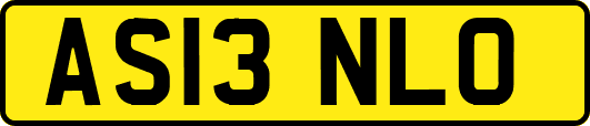 AS13NLO