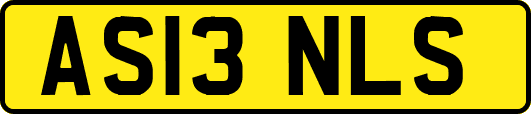 AS13NLS
