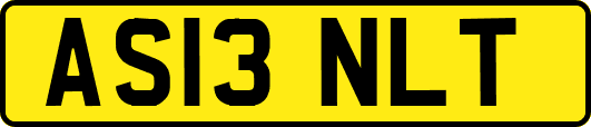 AS13NLT