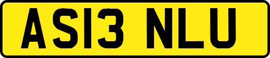 AS13NLU