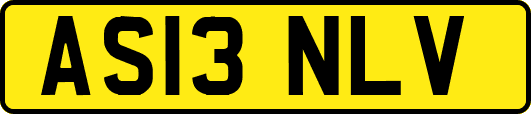AS13NLV