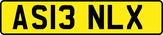 AS13NLX