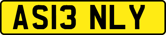 AS13NLY