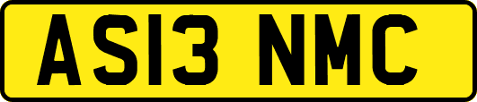 AS13NMC