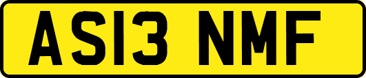 AS13NMF