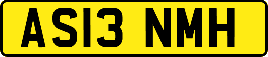AS13NMH