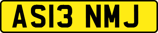 AS13NMJ