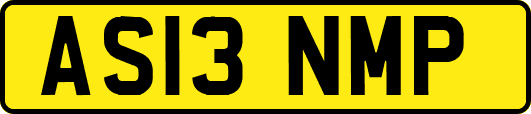 AS13NMP